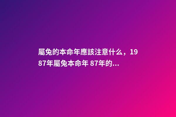 屬兔的本命年應該注意什么，1987年屬兔本命年 87年的兔子應該注意的什么-第1張-觀點-玄機派